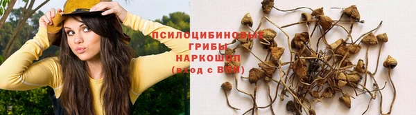 прущий лед Вязники