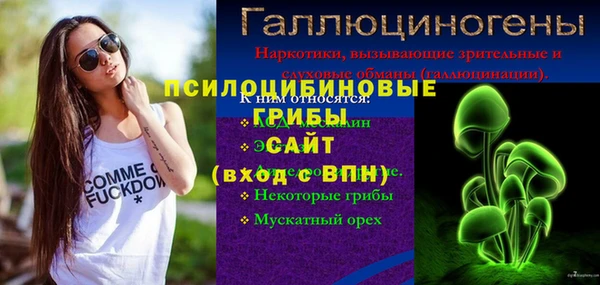 Альфа ПВП Вяземский