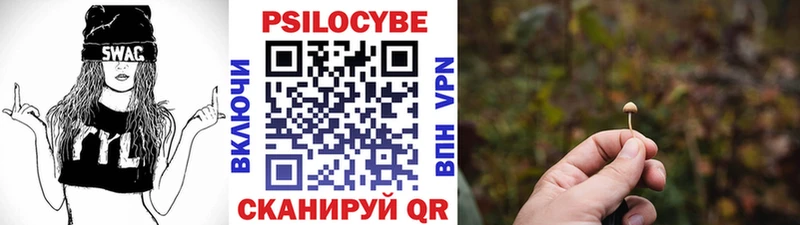 купить   blacksprut ONION  Псилоцибиновые грибы Psilocybine cubensis  Ковров 