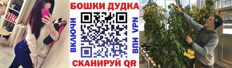 цены наркотик  Ковров  Шишки марихуана OG Kush 